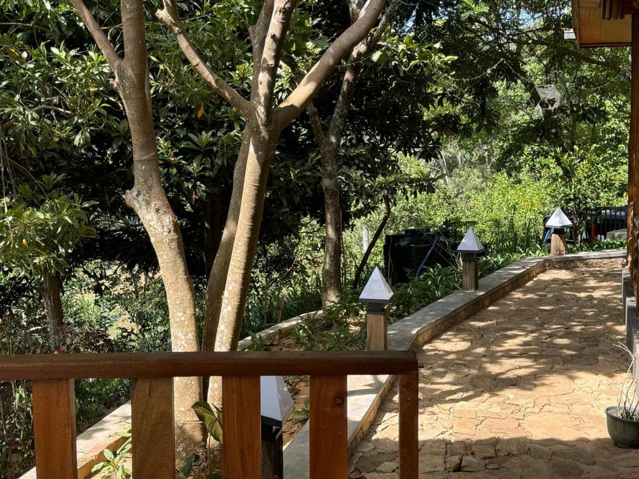 Felicity Inn Procida Dış mekan fotoğraf